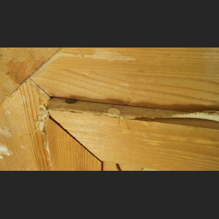 Pejzaż górski obraz olejny stary 