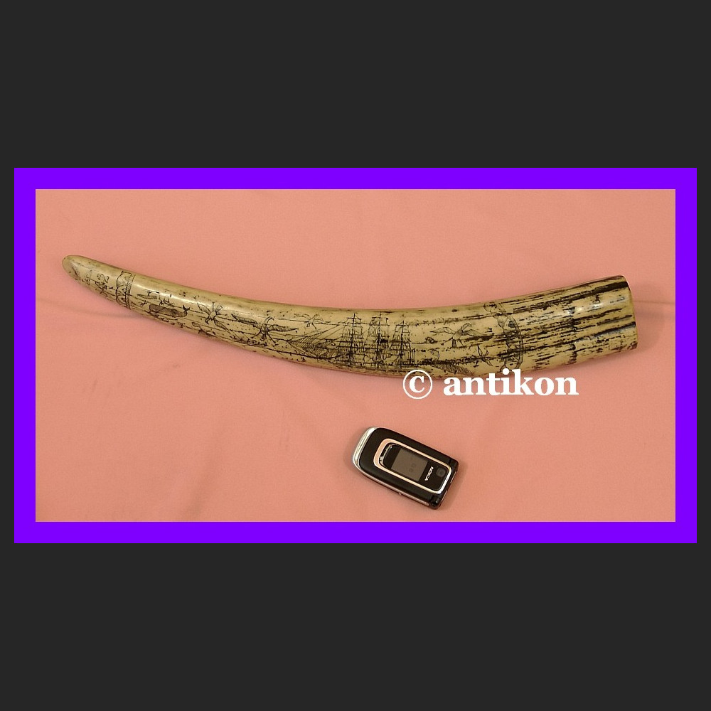 Rzeźbiony kieł wielki róg na prezent 