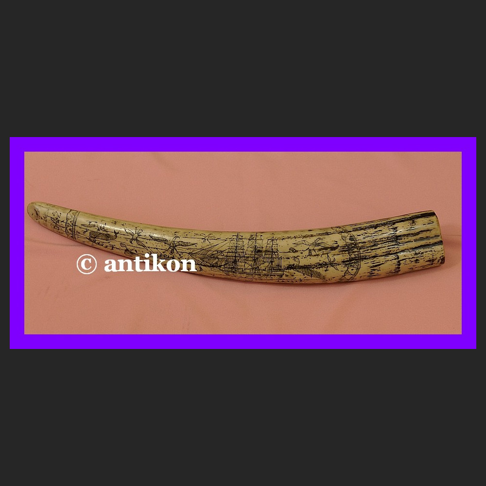 Rzeźbiony kieł wielki róg na prezent 