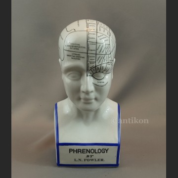 Porcelanowa głowa lekarska mapa mózgu House