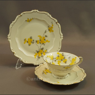 Stara filiżanka Sorau  Mimose  Stara filiżanka Sorau  Mimose