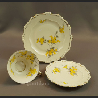 Stara filiżanka Sorau  Mimose  Stara filiżanka Sorau  Mimose