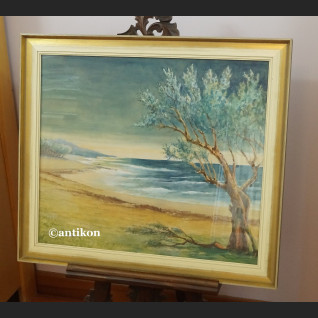 Akwarela Morze brzeg duży obraz