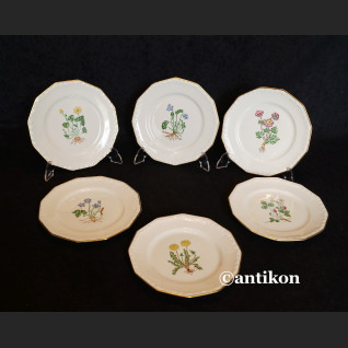 Rosenthal Maria z 1938 r. komplet ręcznie malowanych talerzyków 