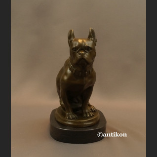 Figurka z brązu pies buldog francuski piękny