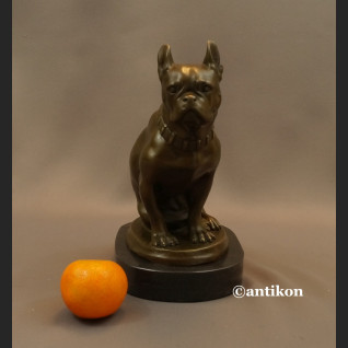 Figurka z brązu pies buldog francuski piękny