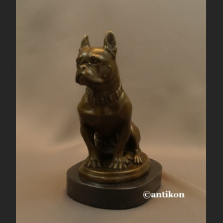 Figurka z brązu pies buldog francuski piękny