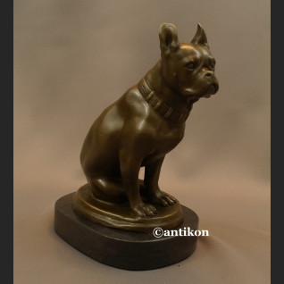 Figurka z brązu pies buldog francuski piękny