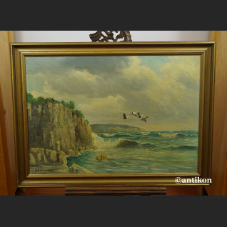 Obraz morze klif i dzike gęsi obraz marynistyczny 