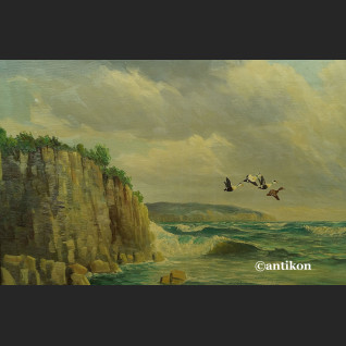 Obraz morze klif i dzike gęsi obraz marynistyczny Obraz morze klif i dzike gęsi obraz marynistyczny