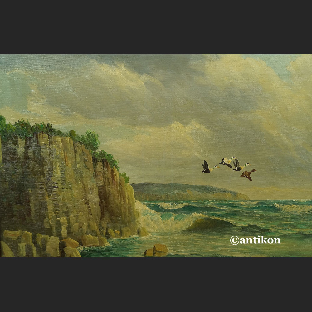Obraz morze klif i dzike gęsi obraz marynistyczny Obraz morze klif i dzike gęsi obraz marynistyczny