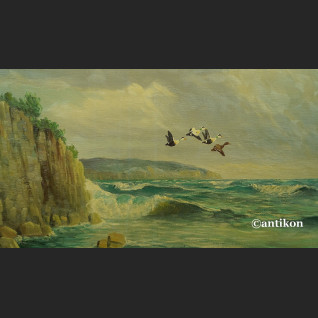 Obraz morze klif i dzike gęsi obraz marynistyczny Obraz morze klif i dzike gęsi obraz marynistyczny