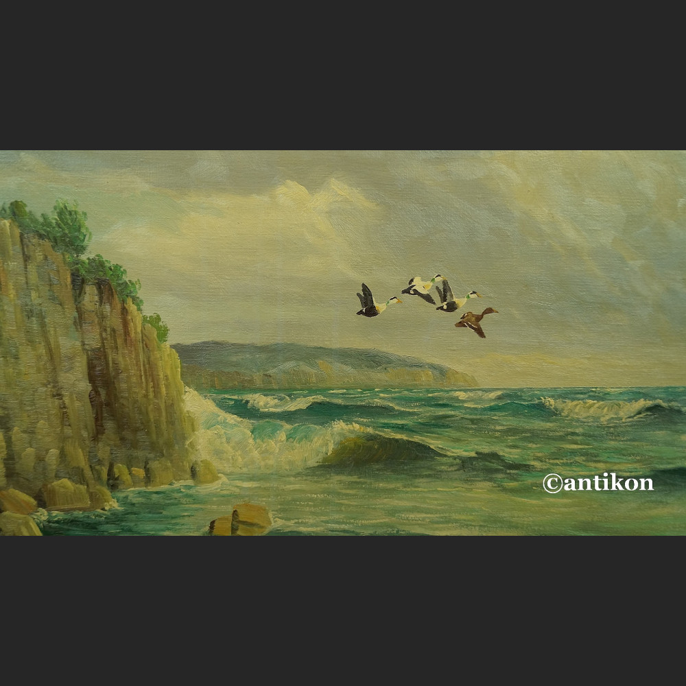 Obraz morze klif i dzike gęsi obraz marynistyczny Obraz morze klif i dzike gęsi obraz marynistyczny