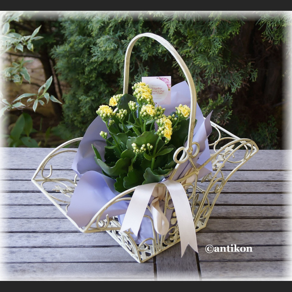 Kosz z kutego żelaza na warzywa kwiaty średni Kosz z kutego żelaza na warzywa kwiaty średni