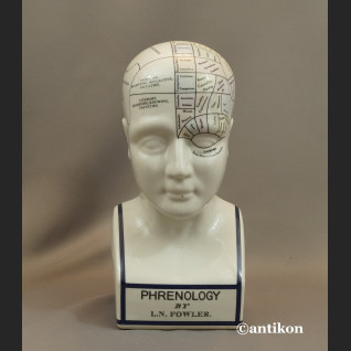 Głowa lekarska frenologia jak u doktora House  Głowa lekarska frenologia jak u doktora House