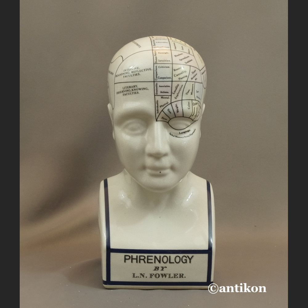 Głowa lekarska frenologia jak u doktora House  Głowa lekarska frenologia jak u doktora House