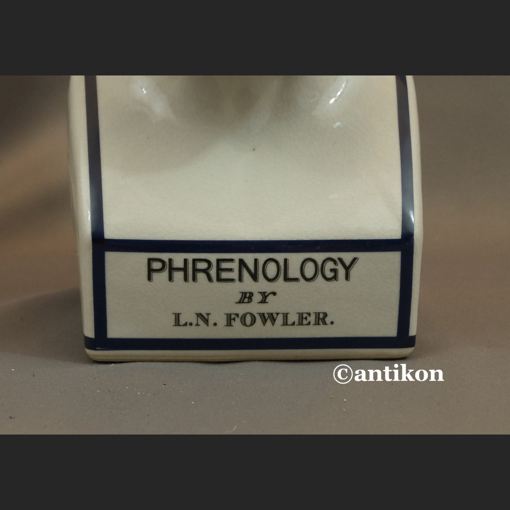 Głowa lekarska frenologia jak u doktora House  Głowa lekarska frenologia jak u doktora House