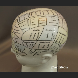 Głowa lekarska frenologia jak u doktora House  Głowa lekarska frenologia jak u doktora House