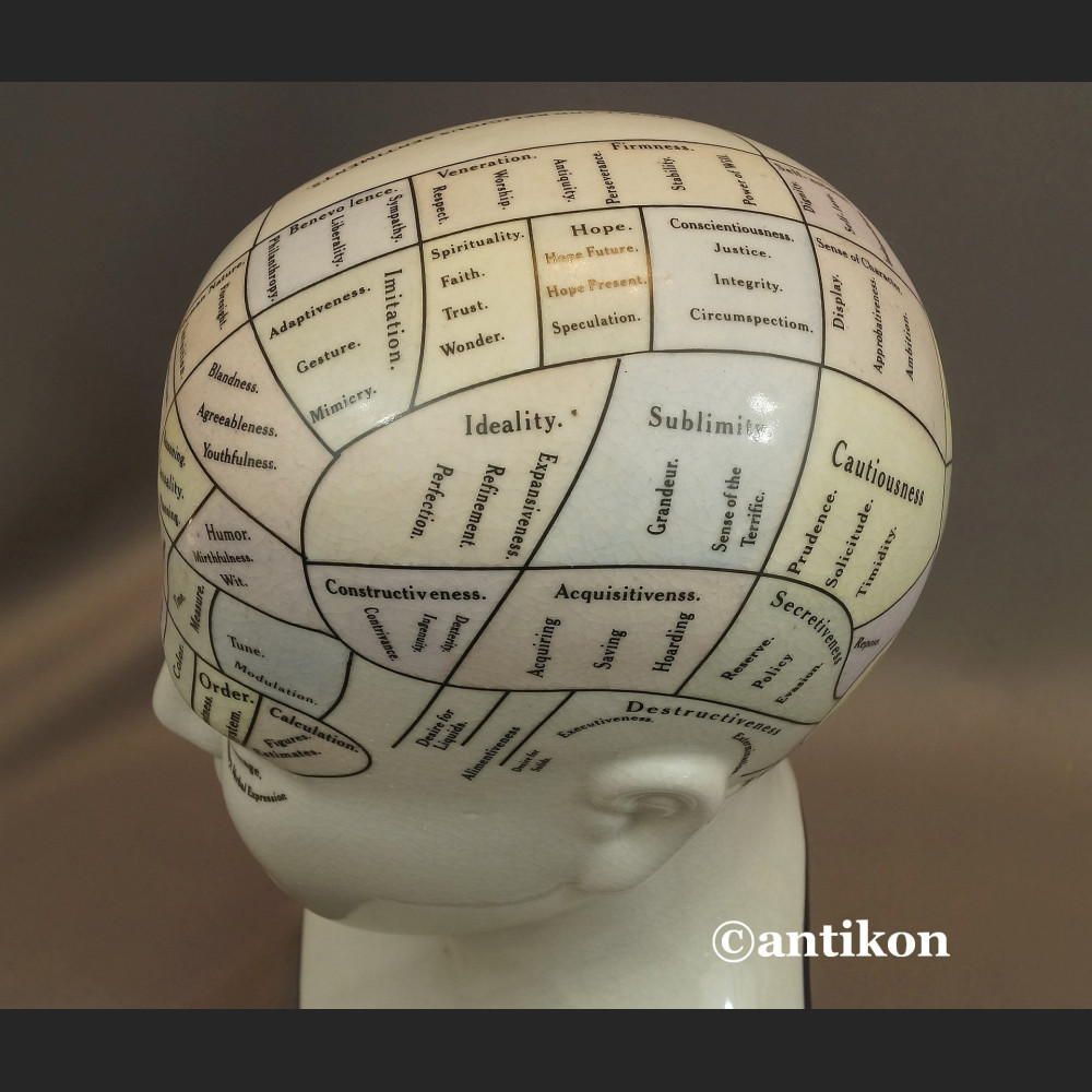 Głowa lekarska frenologia jak u doktora House  Głowa lekarska frenologia jak u doktora House