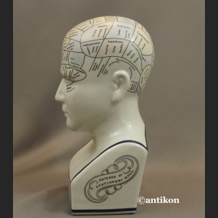 Głowa lekarska frenologia jak u doktora House  Głowa lekarska frenologia jak u doktora House