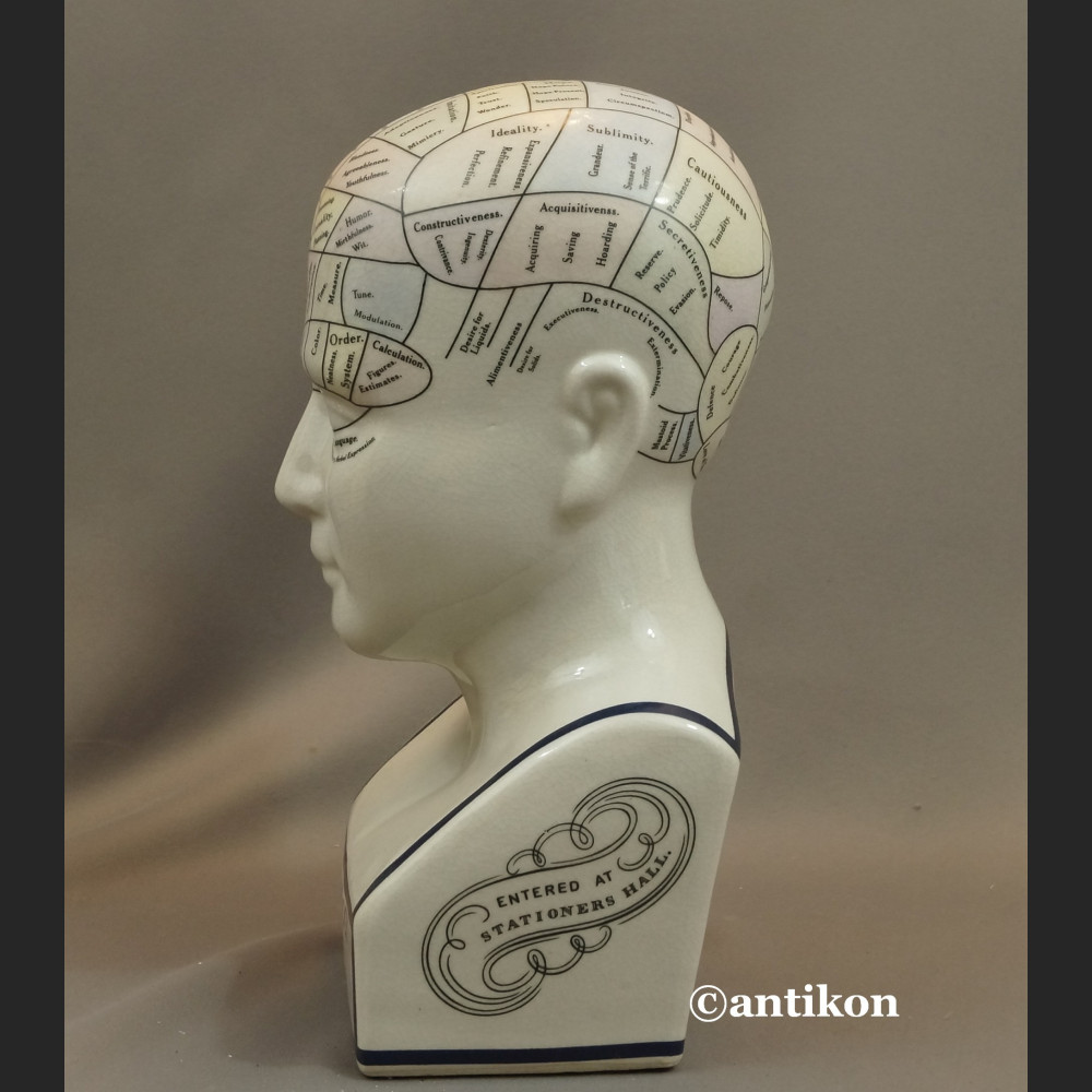 Głowa lekarska frenologia jak u doktora House  Głowa lekarska frenologia jak u doktora House