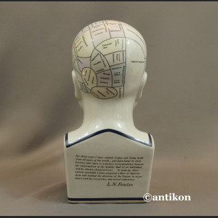 Głowa lekarska frenologia jak u doktora House  Głowa lekarska frenologia jak u doktora House