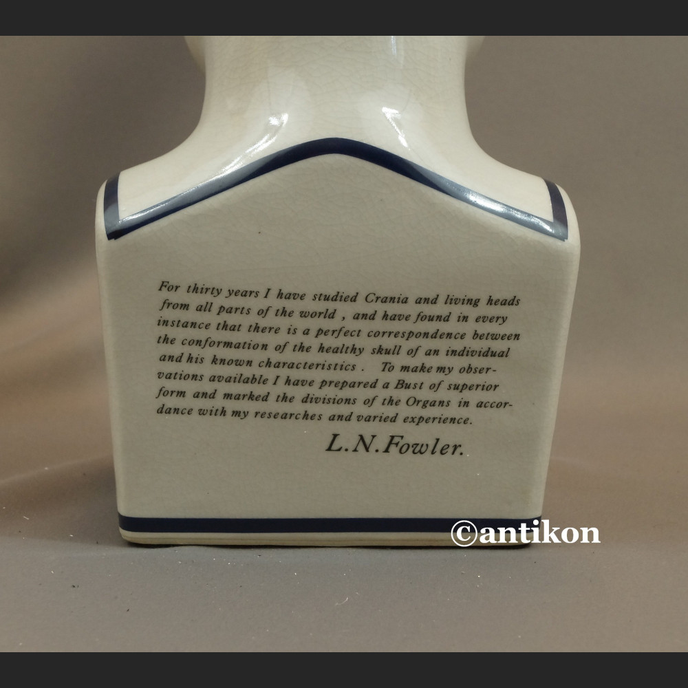 Głowa lekarska frenologia jak u doktora House  Głowa lekarska frenologia jak u doktora House