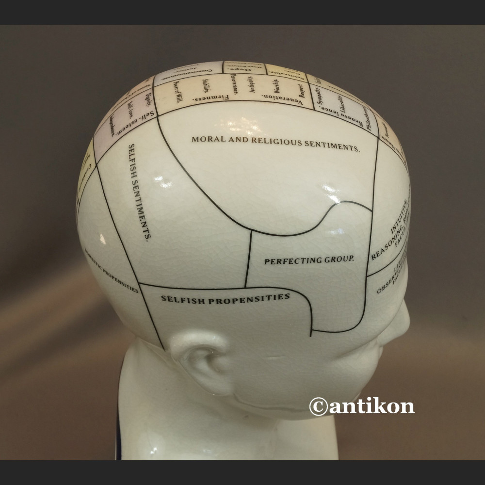 Głowa lekarska frenologia jak u doktora House  Głowa lekarska frenologia jak u doktora House