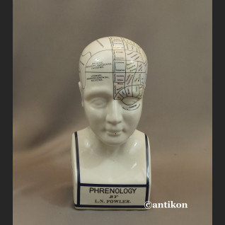 Głowa lekarska frenologia jak u doktora House  Głowa lekarska frenologia jak u doktora House