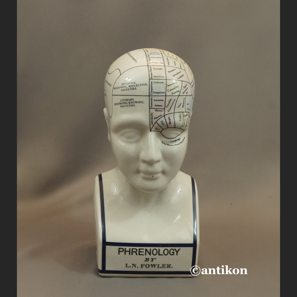 Głowa lekarska frenologia jak u doktora House  Głowa lekarska frenologia jak u doktora House