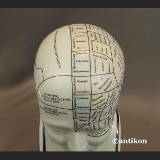 Głowa lekarska frenologia jak u doktora House  Głowa lekarska frenologia jak u doktora House