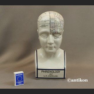 Głowa lekarska frenologia jak u doktora House  Głowa lekarska frenologia jak u doktora House