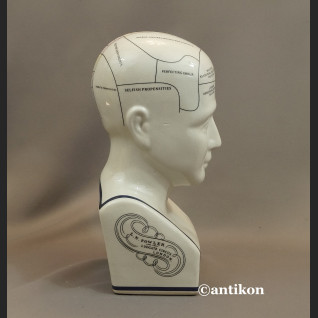 Głowa lekarska frenologia jak u doktora House  Głowa lekarska frenologia jak u doktora House