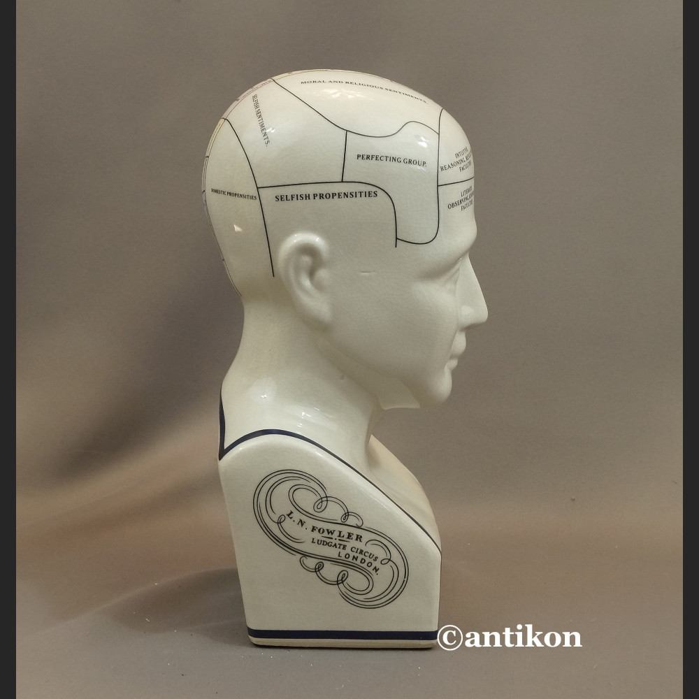 Głowa lekarska frenologia jak u doktora House  Głowa lekarska frenologia jak u doktora House