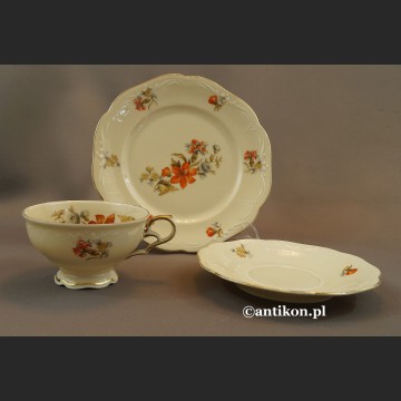 Filiżanka porcelanowa stara bawarska porcelana z kwiatami