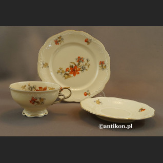 Filiżanka porcelanowa stara bawarska porcelana z kwiatami Filiżanka porcelanowa stara bawarska porcelana z kwiatami