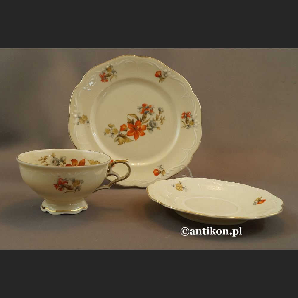Filiżanka porcelanowa stara bawarska porcelana z kwiatami Filiżanka porcelanowa stara bawarska porcelana z kwiatami