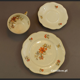 Filiżanka porcelanowa stara bawarska porcelana z kwiatami Filiżanka porcelanowa stara bawarska porcelana z kwiatami