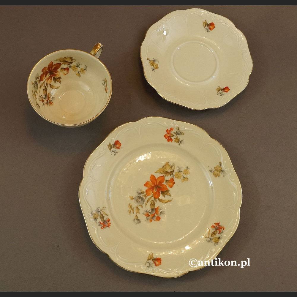 Filiżanka porcelanowa stara bawarska porcelana z kwiatami Filiżanka porcelanowa stara bawarska porcelana z kwiatami