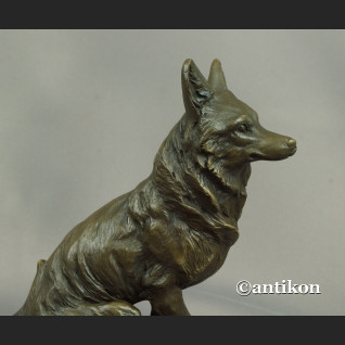 Lis rzeźba z brązu prezent dla myśliwego Lis rzeźba z brązu prezent dla myśliwego