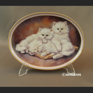 Talerz z kotami Kocia Rodzina 