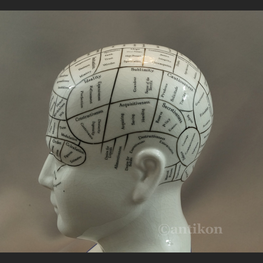 Porcelanowa głowa lekarska House 