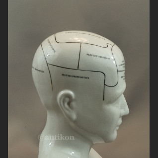 Porcelanowa głowa lekarska House 