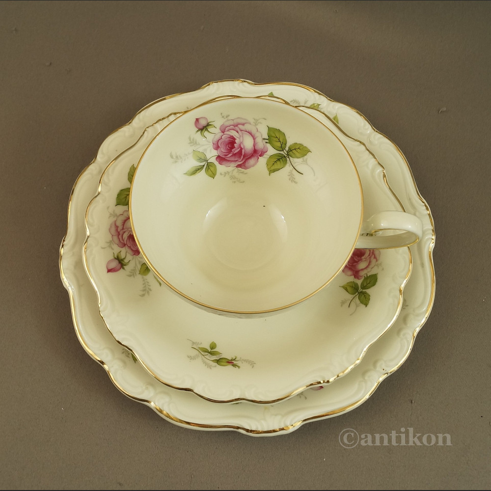 Rosenthal Pompadour serwis z różami do kawy 