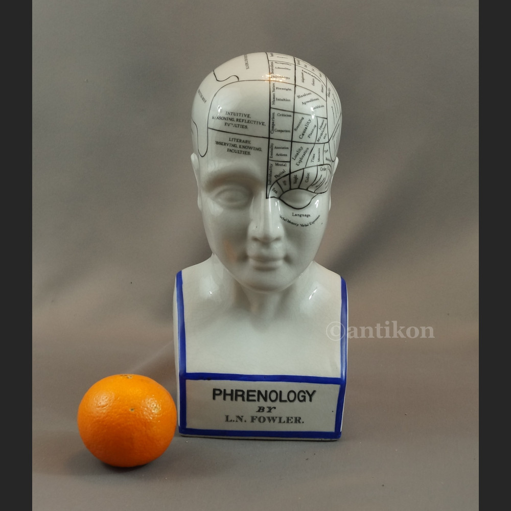 Głowa medyczna prezent dla lekarza 