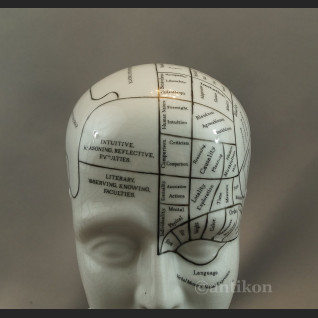 Głowa medyczna prezent dla lekarza 