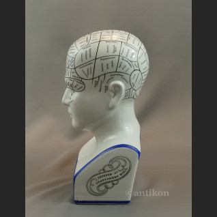 Głowa medyczna prezent dla lekarza 