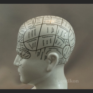 Głowa medyczna prezent dla lekarza 