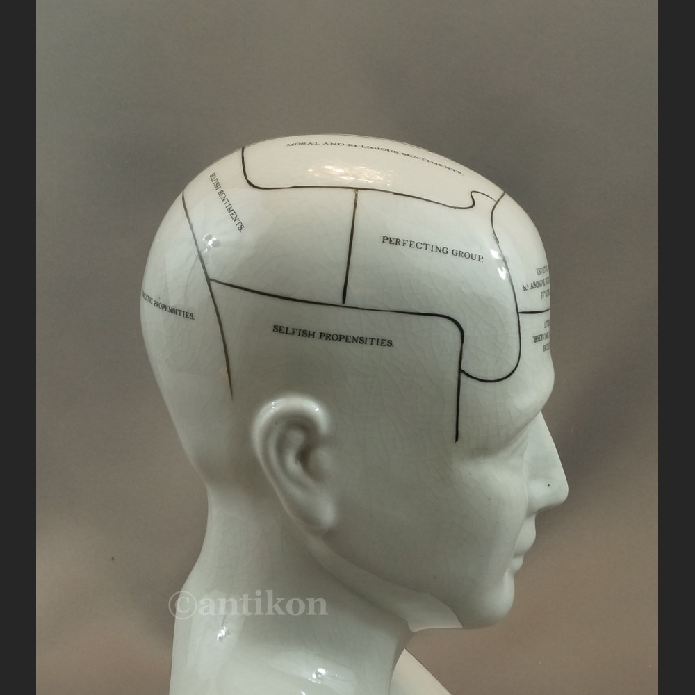 Głowa medyczna prezent dla lekarza 