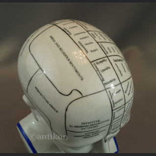 Głowa medyczna prezent dla lekarza 